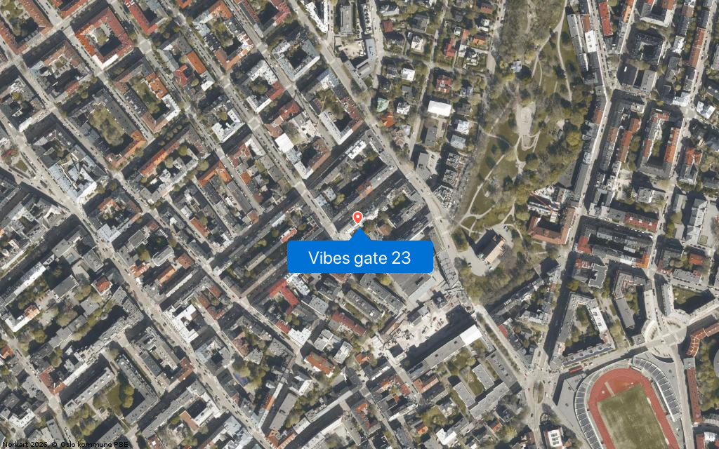 Vibes gate 23