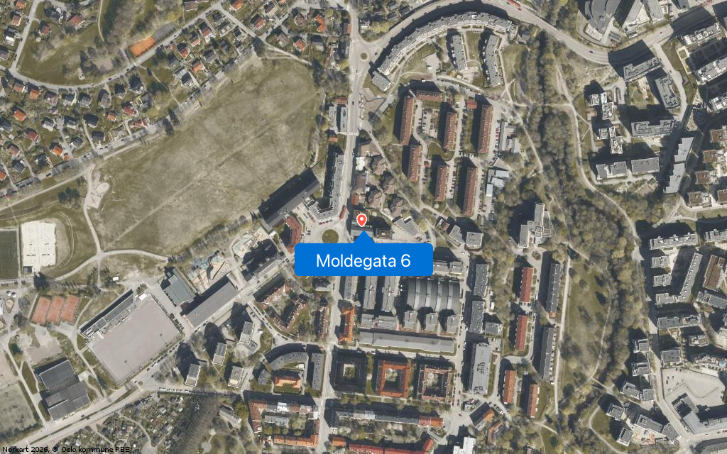 Moldegata 6