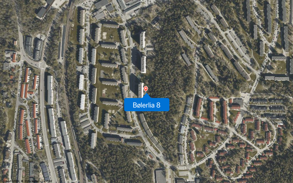 Bølerlia 8