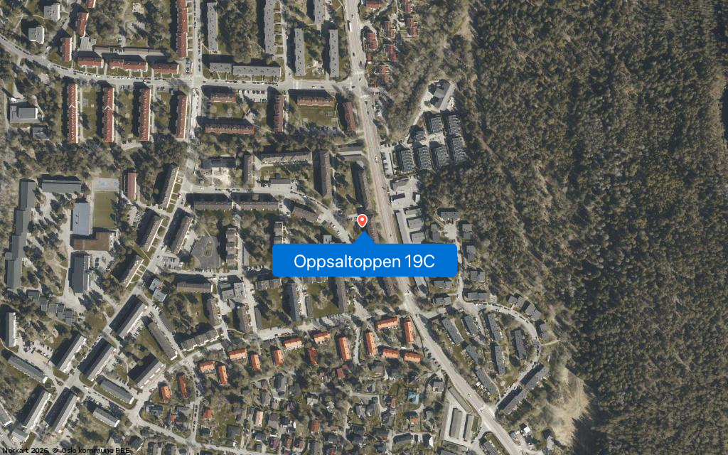 Oppsaltoppen 19C