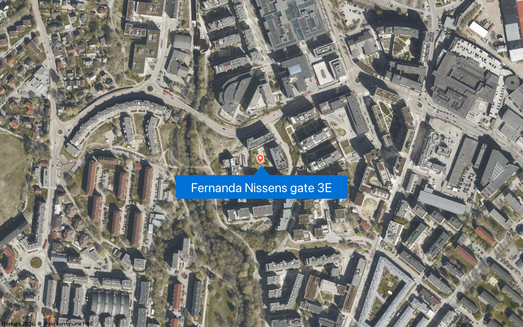Fernanda Nissens gate 3E