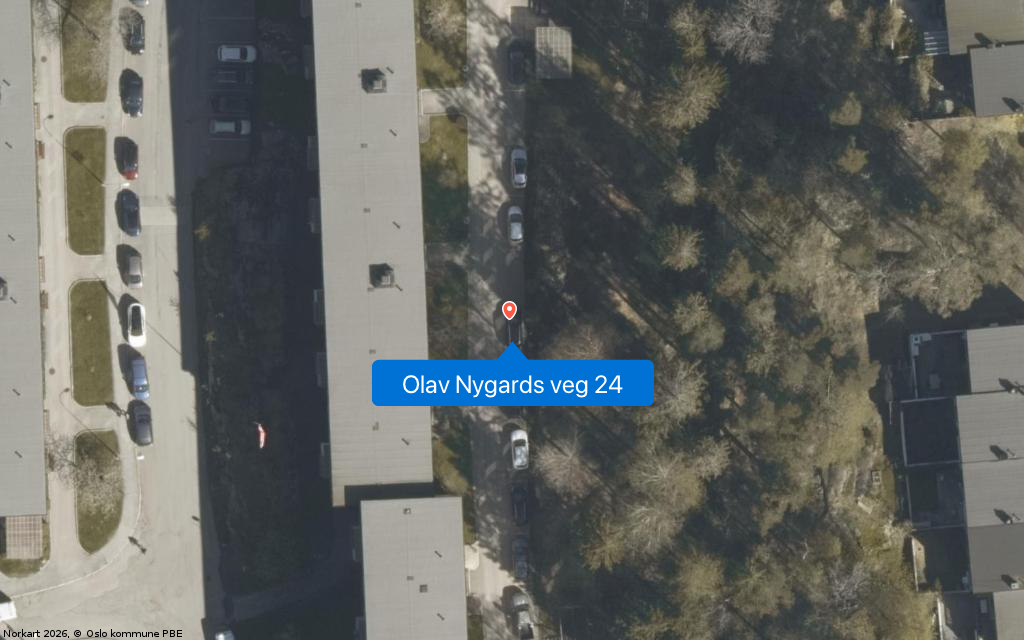 Olav Nygards veg 24
