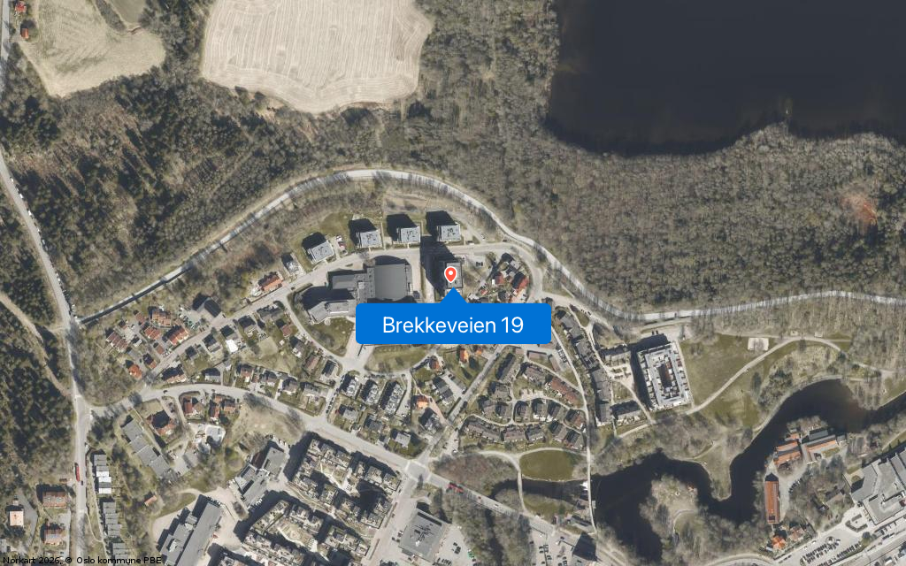 Brekkeveien 19