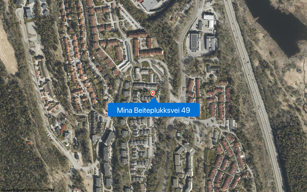 Mina Beiteplukksvei 49