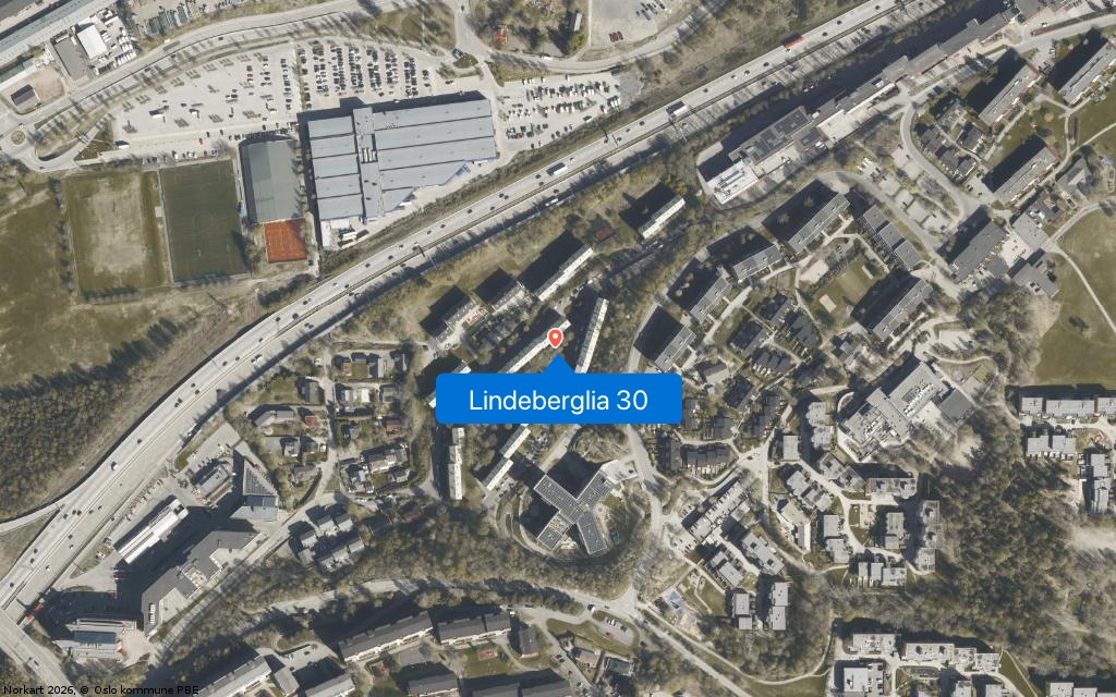 Lindeberglia 30