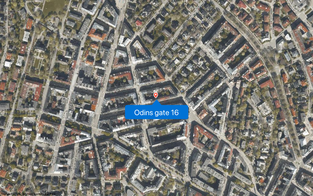 Odins gate 16