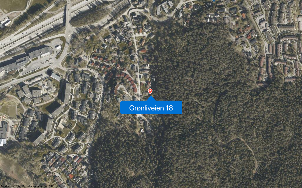 Grønliveien 18