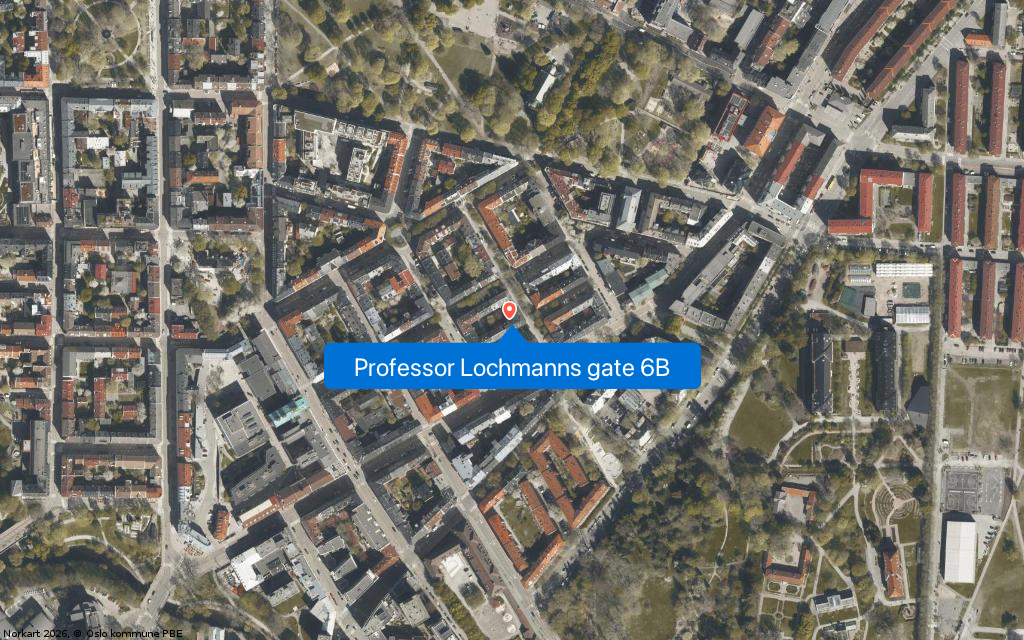 Professor Lochmanns gate 6B