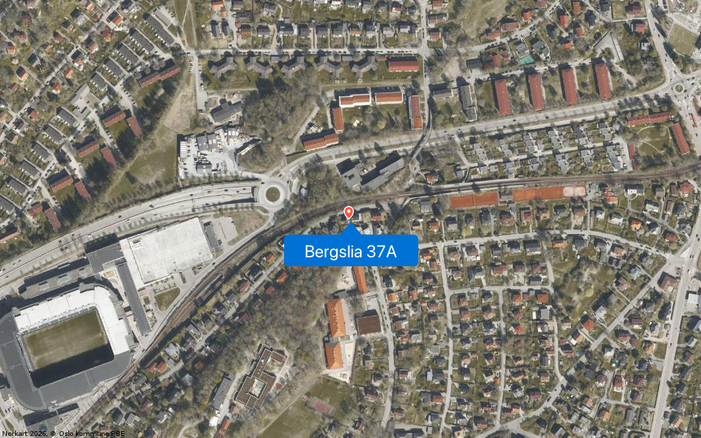Bergslia 37A