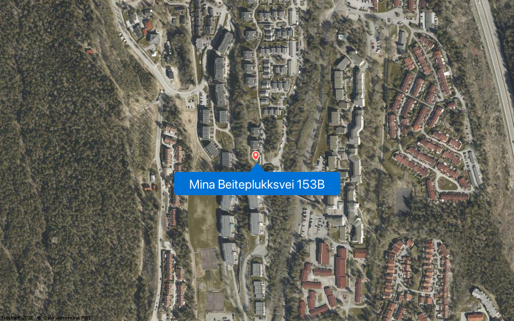 Mina Beiteplukksvei 153B