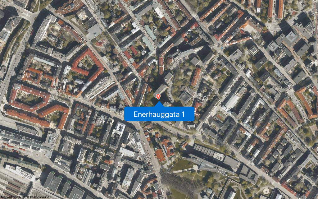Enerhauggata 1