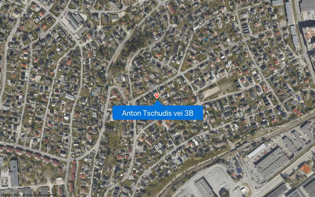 Anton Tschudis vei 3B
