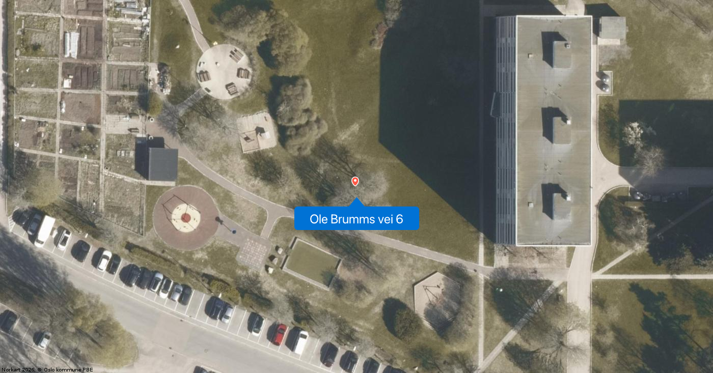 Ole Brumms vei 6