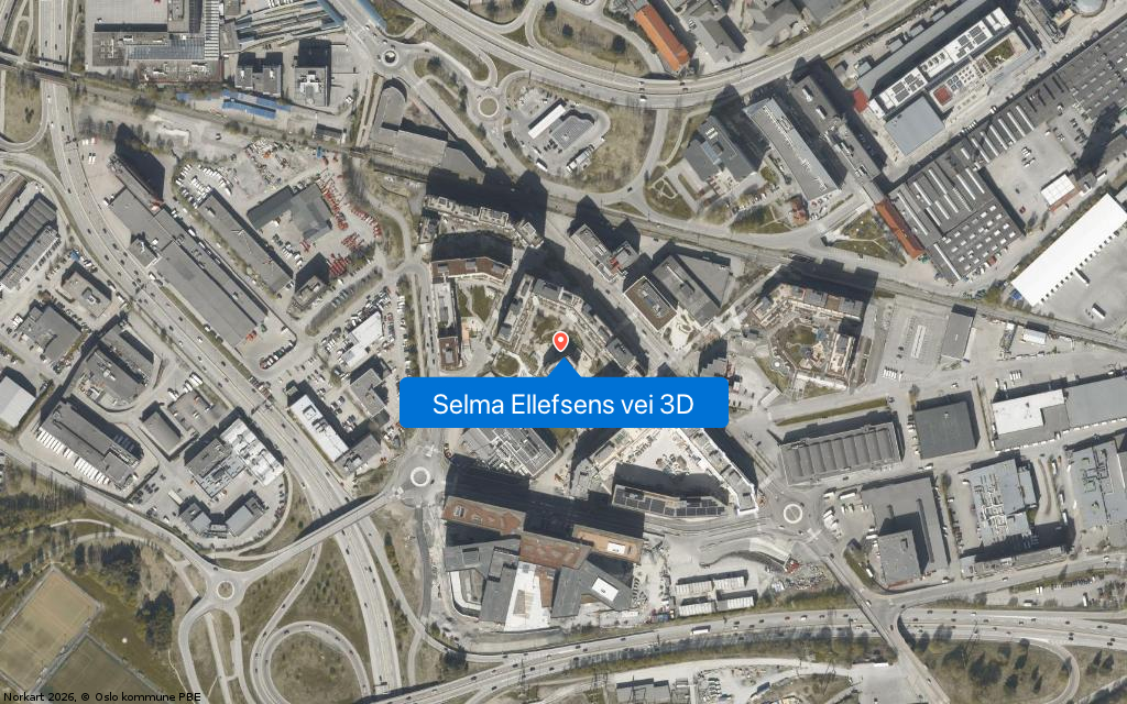 Selma Ellefsens vei 3D