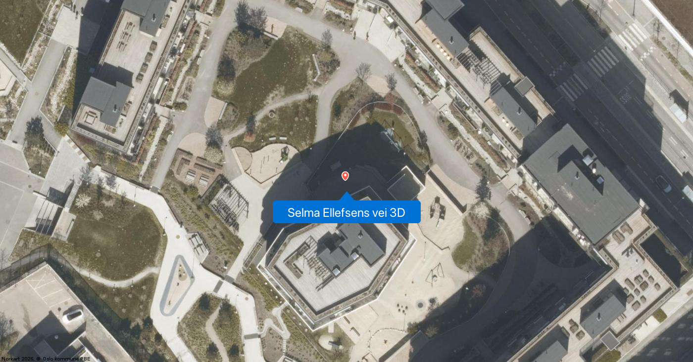 Selma Ellefsens vei 3D