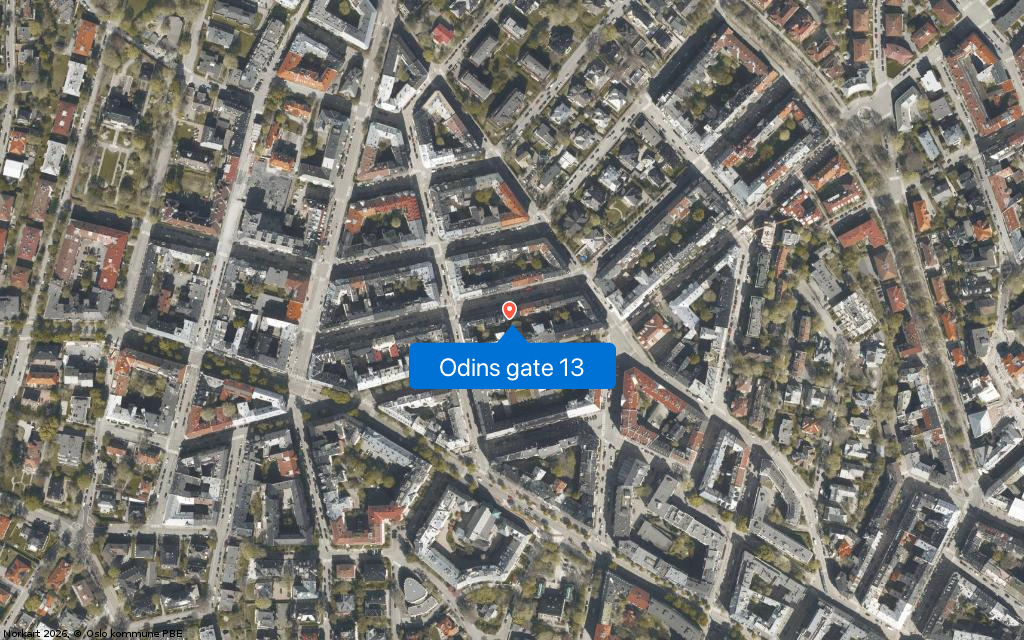 Odins gate 13