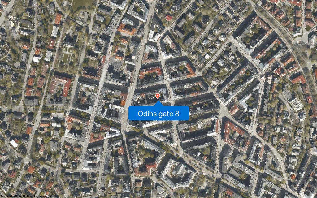 Odins gate 8