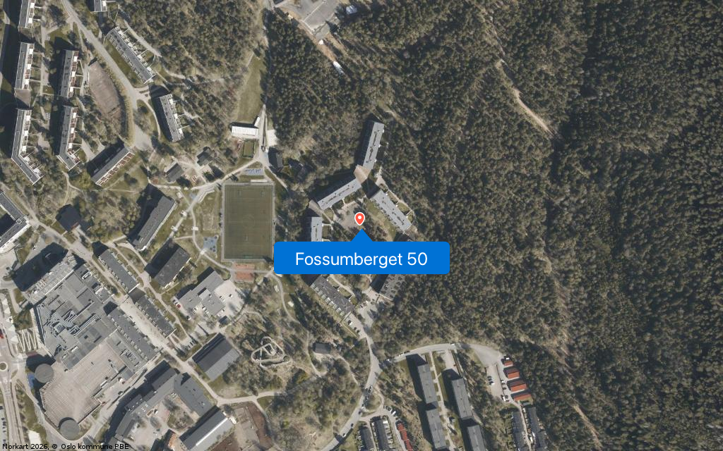 Fossumberget 50