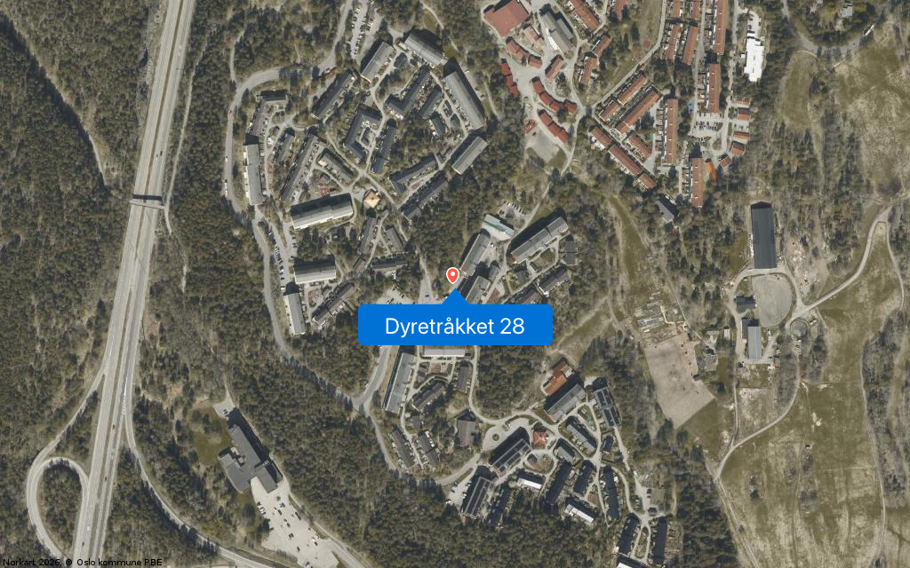 Dyretråkket 28