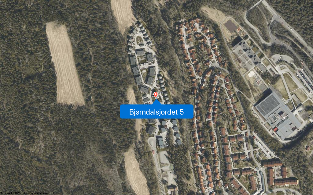 Bjørndalsjordet 5