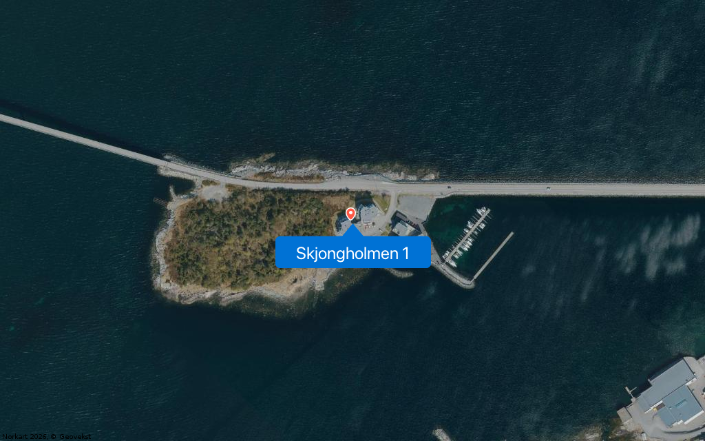 Skjongholmen 1