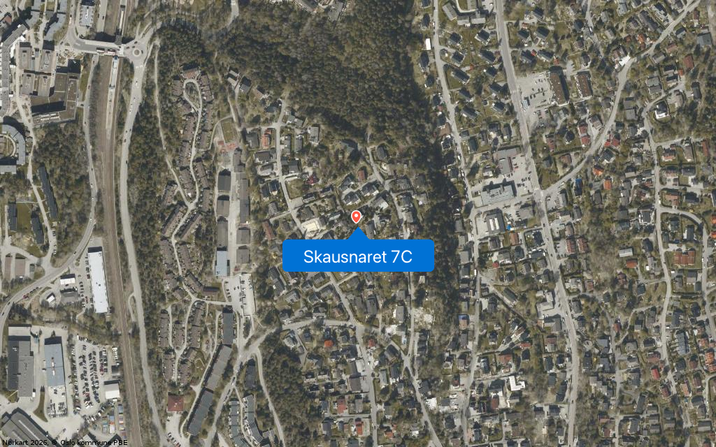 Skausnaret 7C