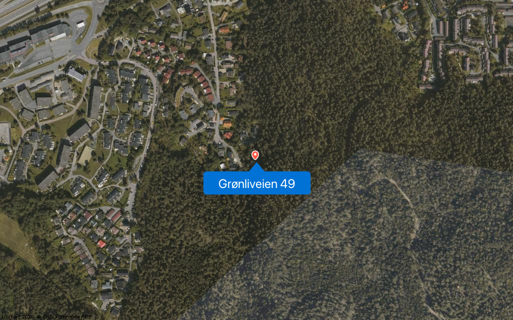 Grønliveien 49