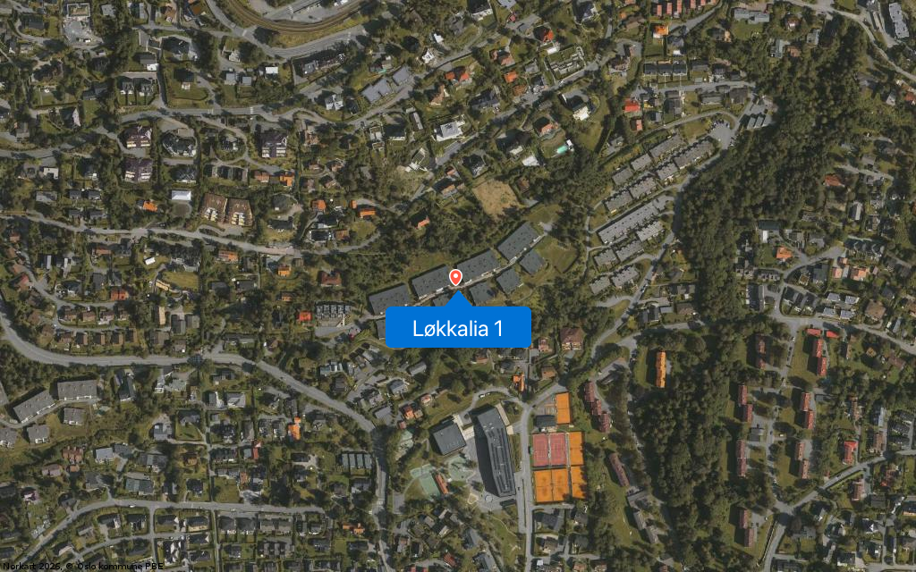 Løkkalia 1