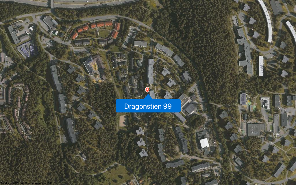 Dragonstien 99