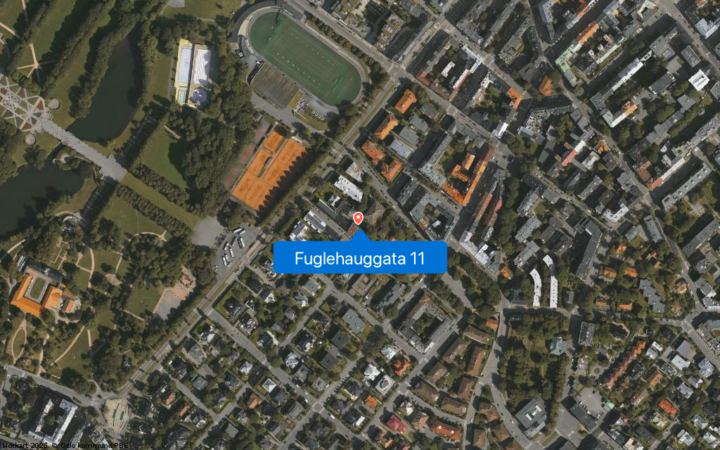 Fuglehauggata 11