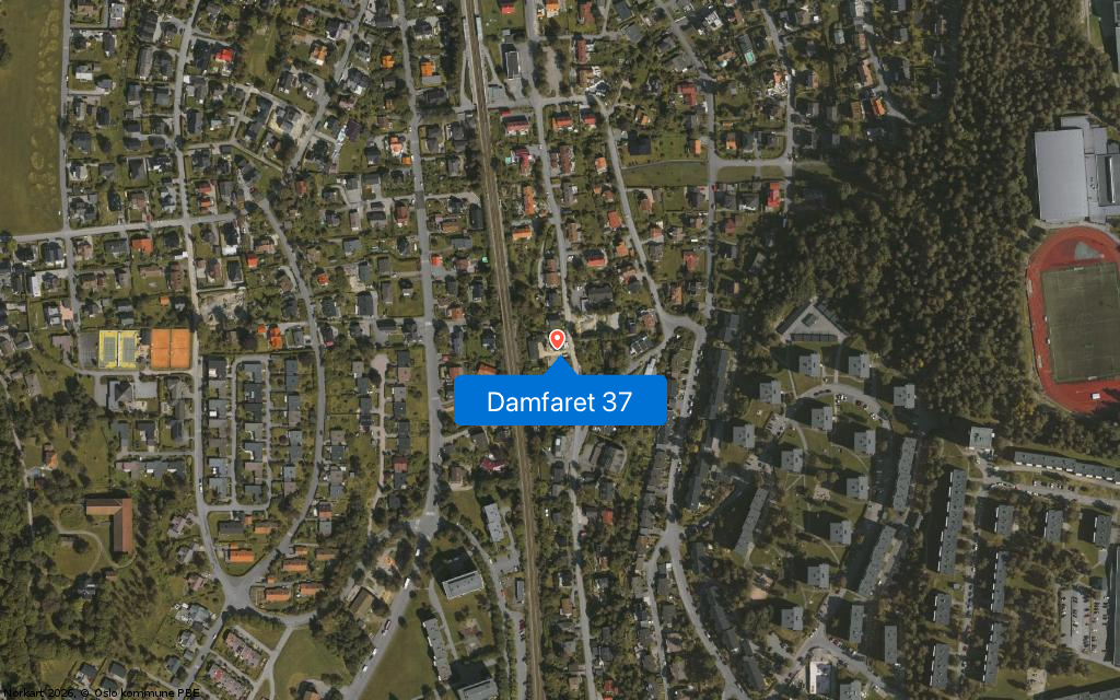Damfaret 37