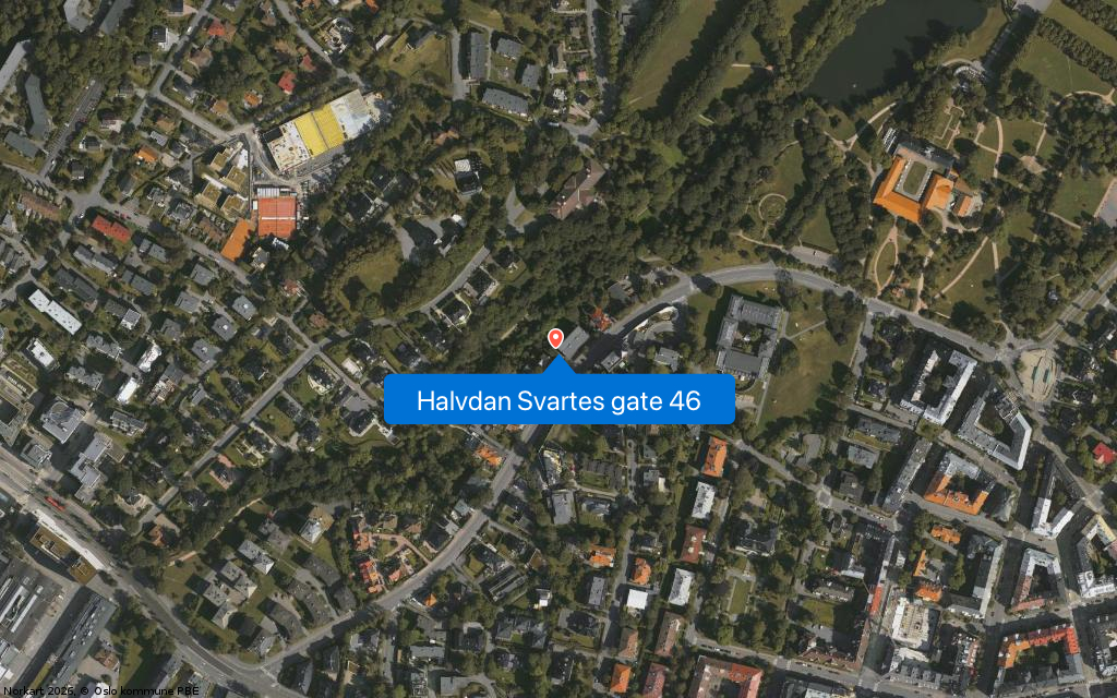 Halvdan Svartes gate 46