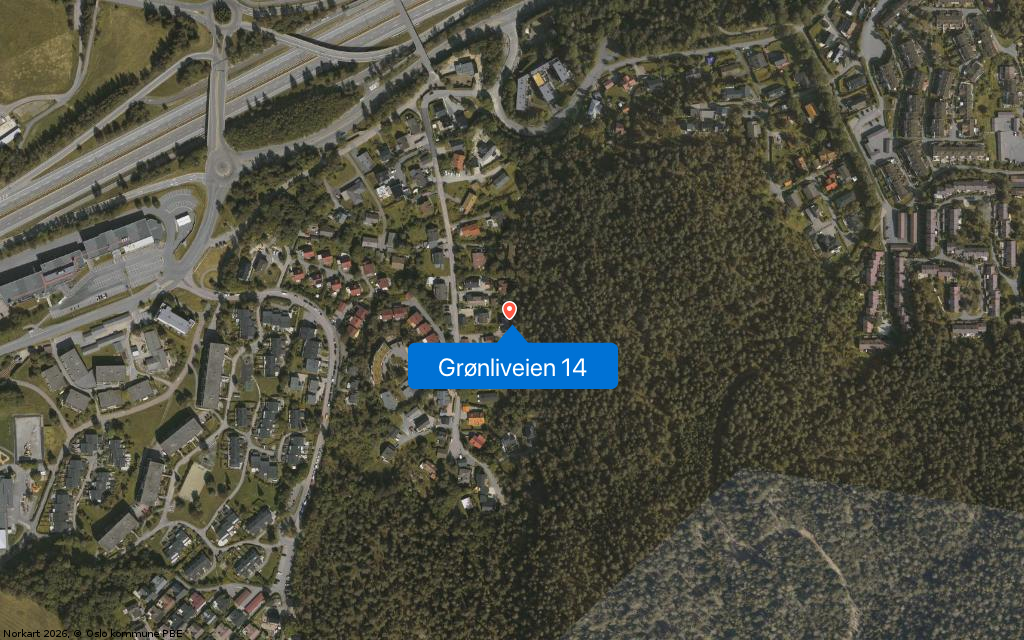 Grønliveien 14