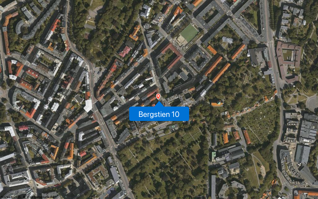Bergstien 10