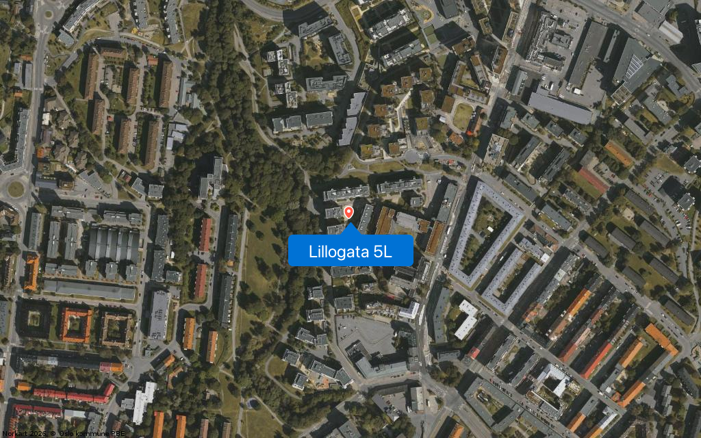 Lillogata 5L