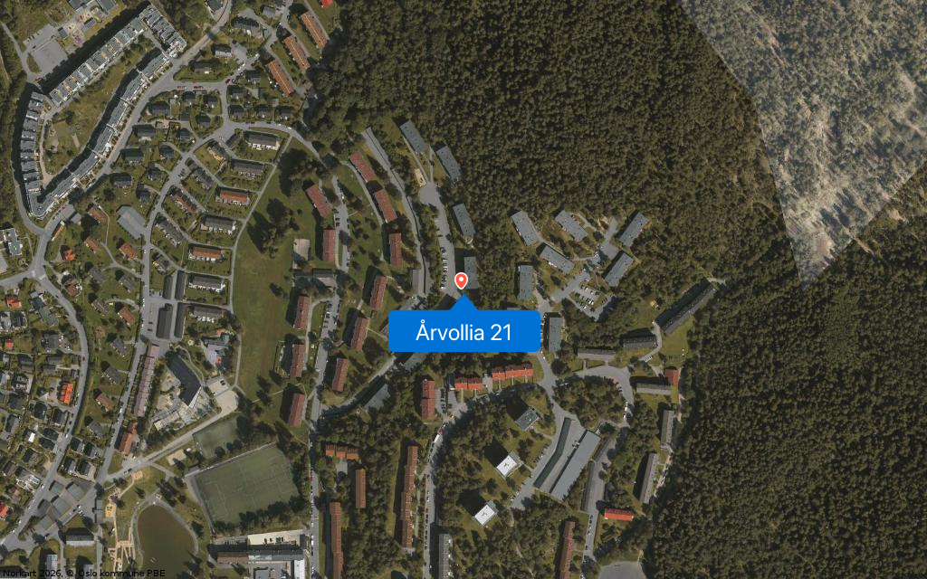 Årvollia 21