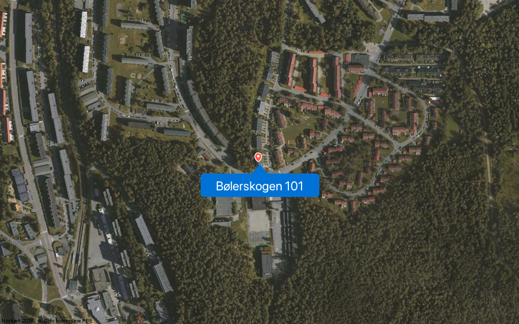 Bølerskogen 101
