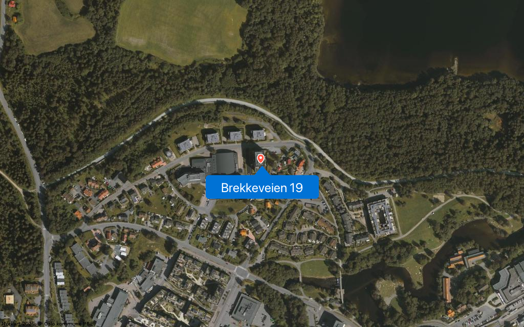 Brekkeveien 19