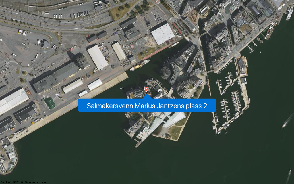 Salmakersvenn Marius Jantzens plass 2