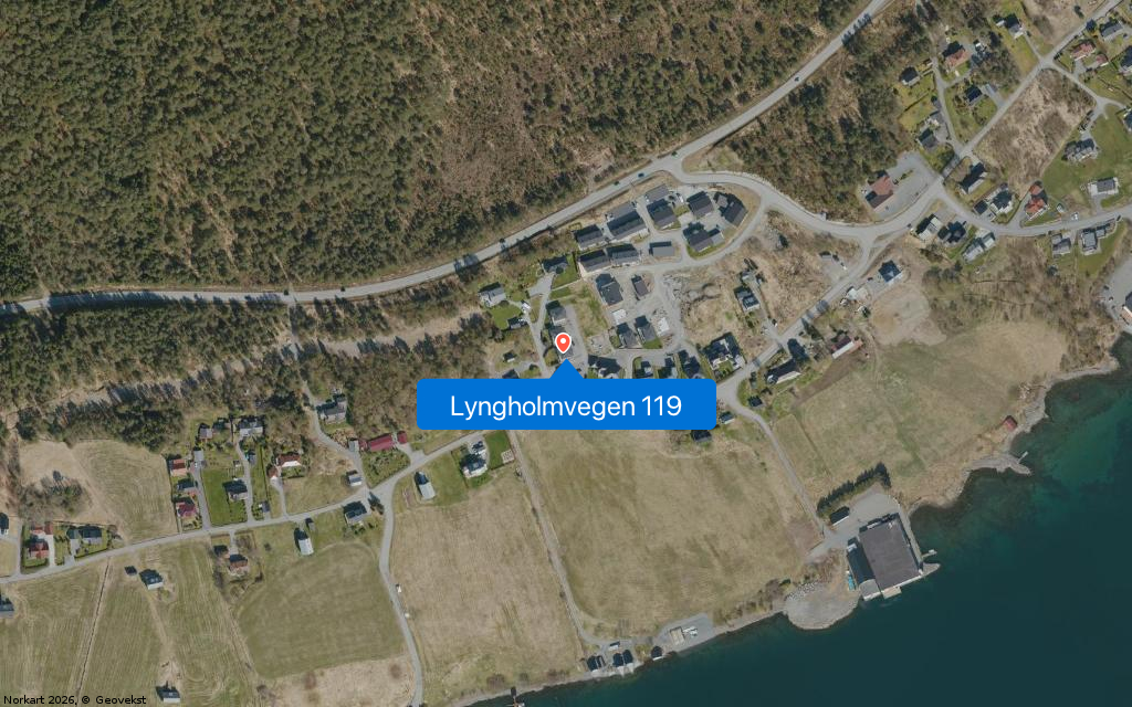 Lyngholmvegen 119