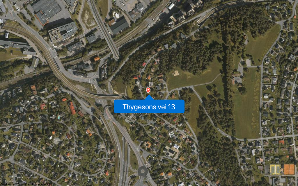 Thygesons vei 13
