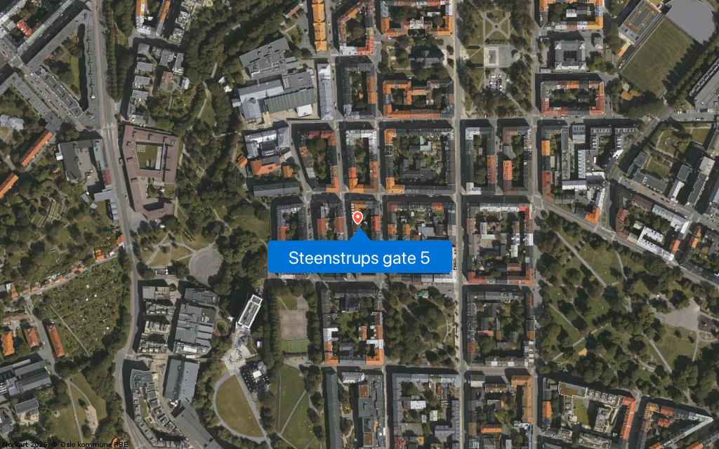 Steenstrups gate 5