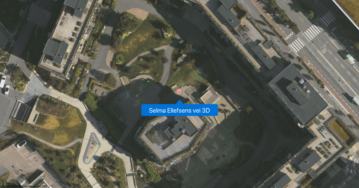 Selma Ellefsens vei 3D