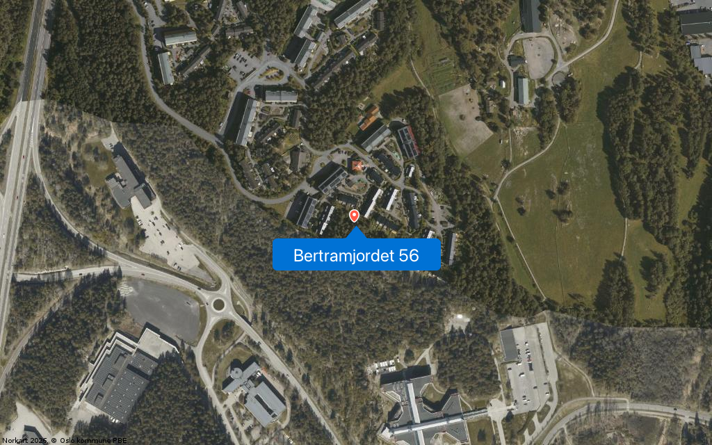 Bertramjordet 56