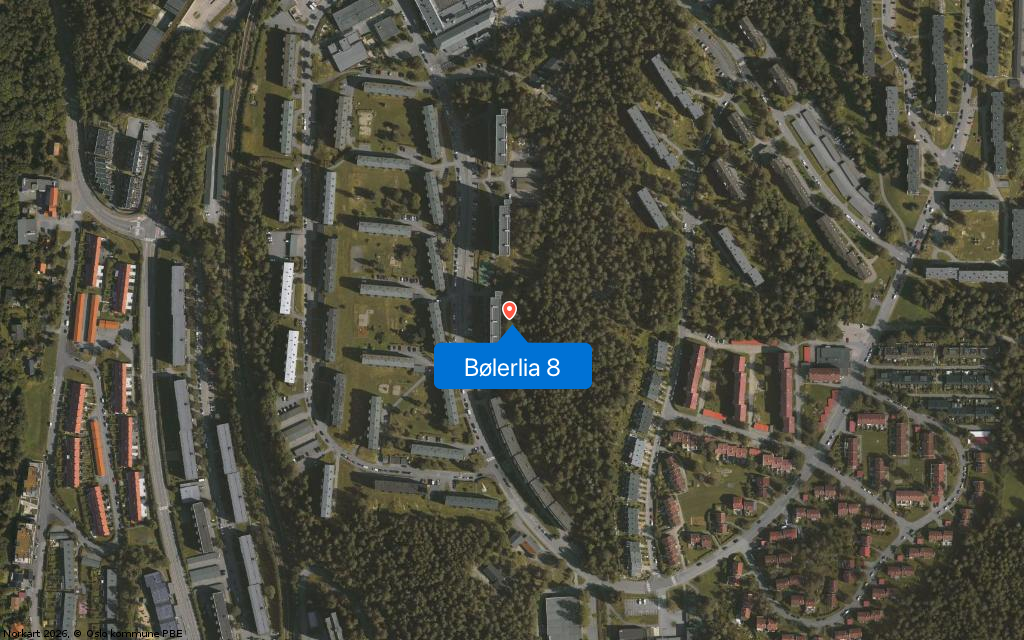 Bølerlia 8