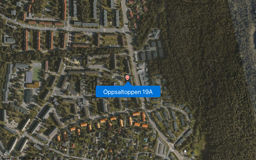 Oppsaltoppen 19A