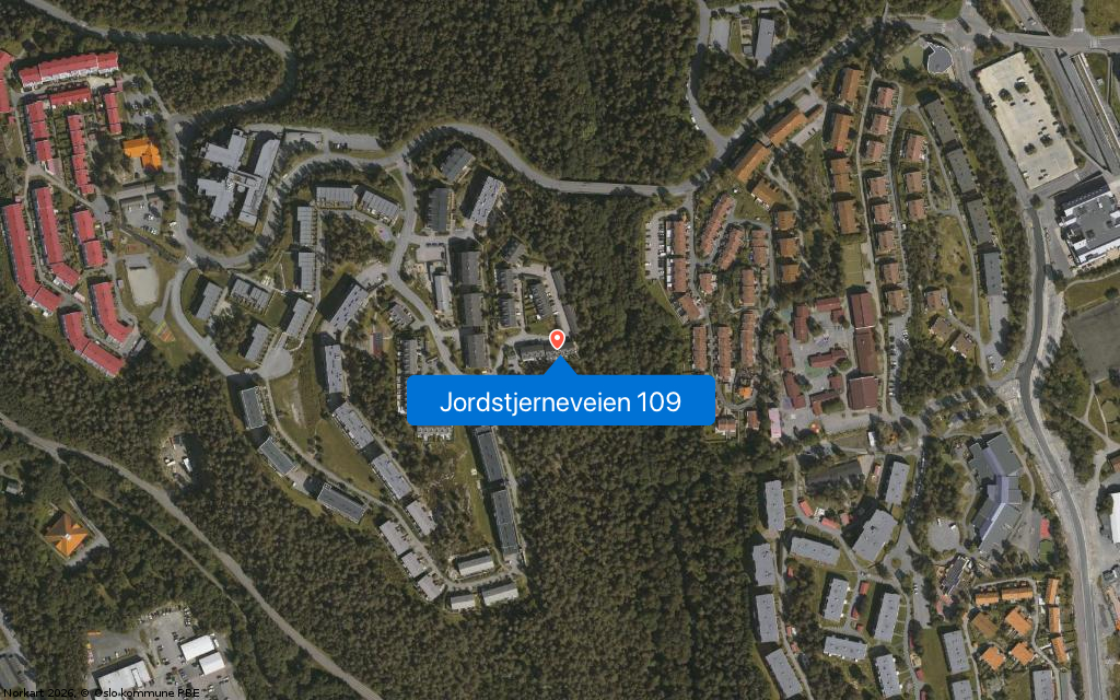 Jordstjerneveien 109