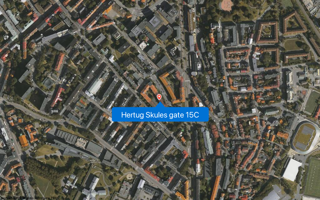 Hertug Skules gate 15C