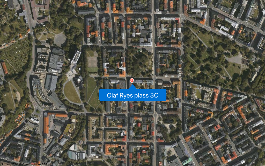 Olaf Ryes plass 3C