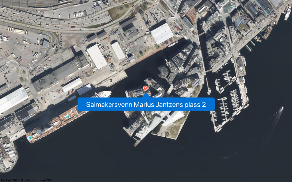 Salmakersvenn Marius Jantzens plass 2
